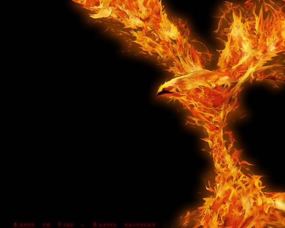 projets passes en statut brouillon tels les cendres du phenix pretes renaitre 49 illustration.jpg
